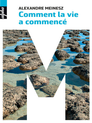 cover image of Comment la vie a commencé